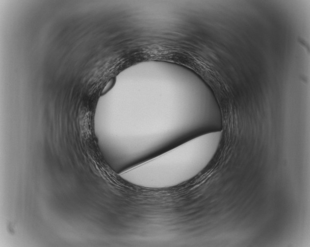 X0000103171346200808221119