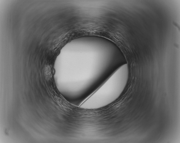 X0000103171347200808221119