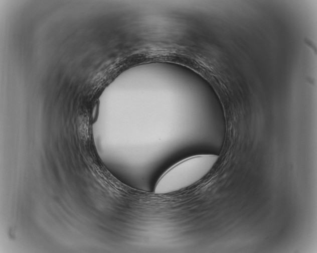 X0000103171348200808221119