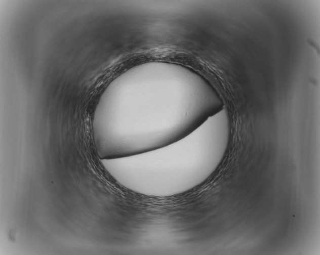 X0000103171349200808221119