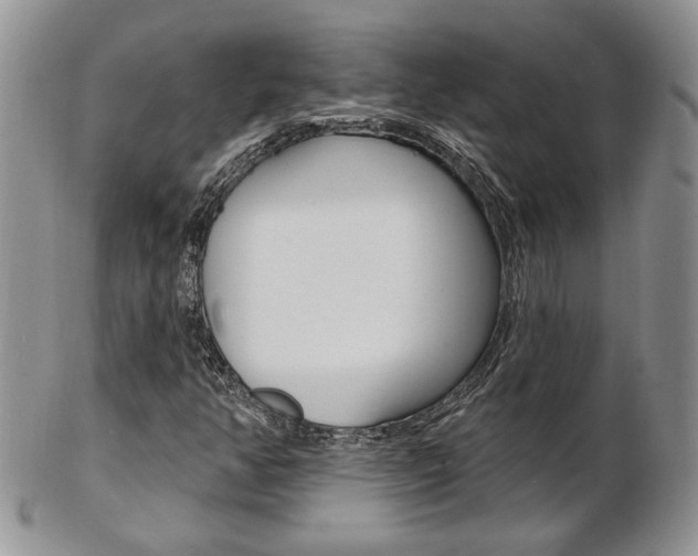 X0000103171350200808221119