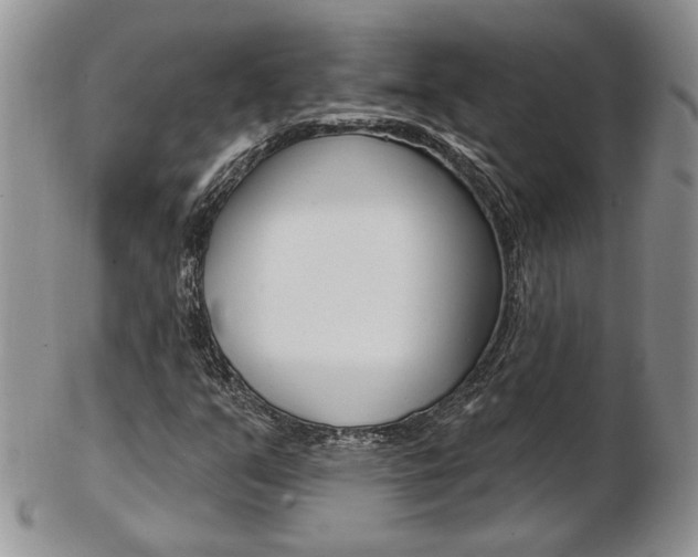 X0000103171351200808221119