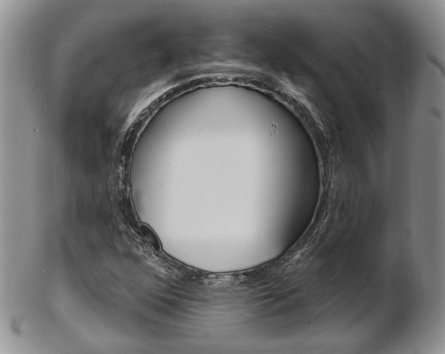 X0000103171352200808221119