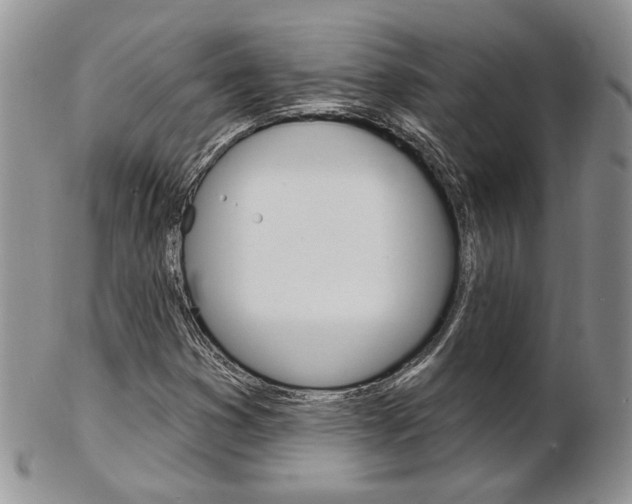 X0000103171353200808221119