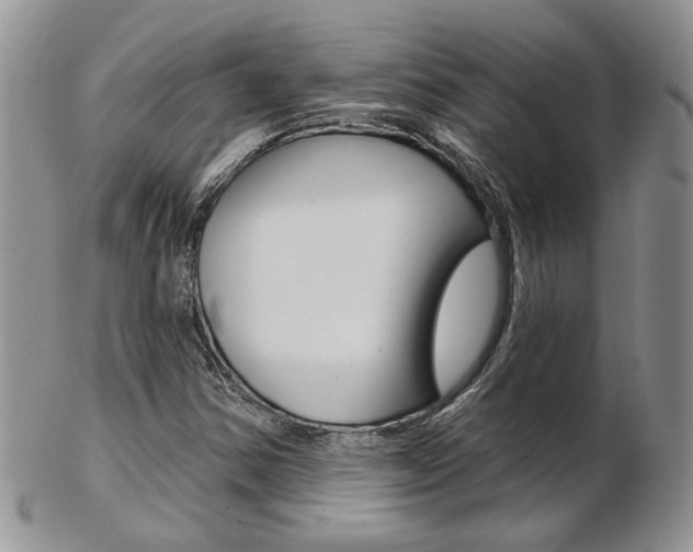 X0000103171354200808221119