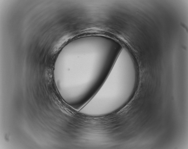 X0000103171355200808221119