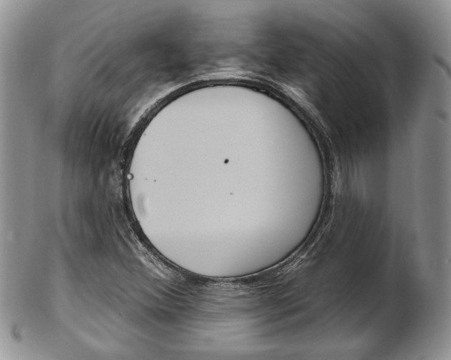 X0000103171356200808221119