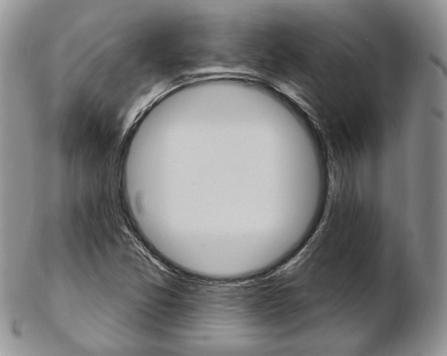 X0000103171357200808221119
