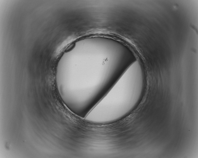X0000103171359200808221119