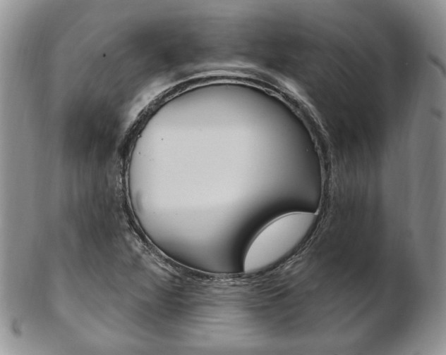 X0000103171360200808221119