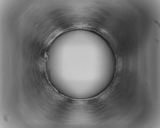 X0000103171361200808221119
