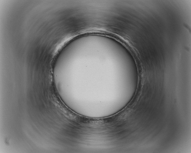 X0000103171363200808221119