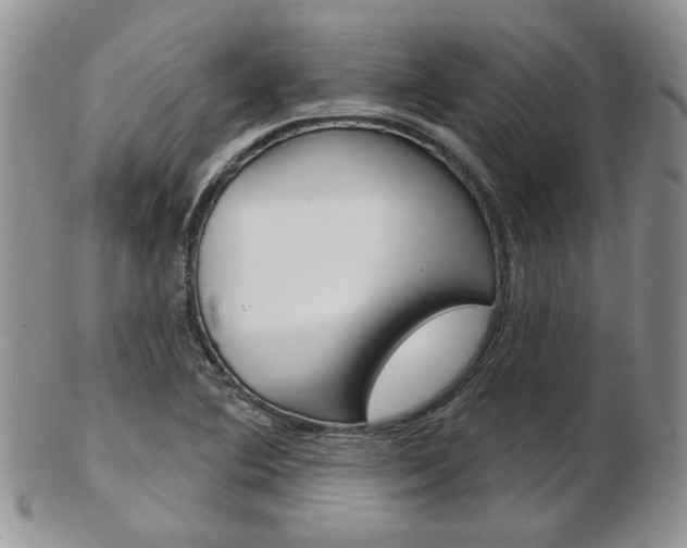 X0000103171364200808221119