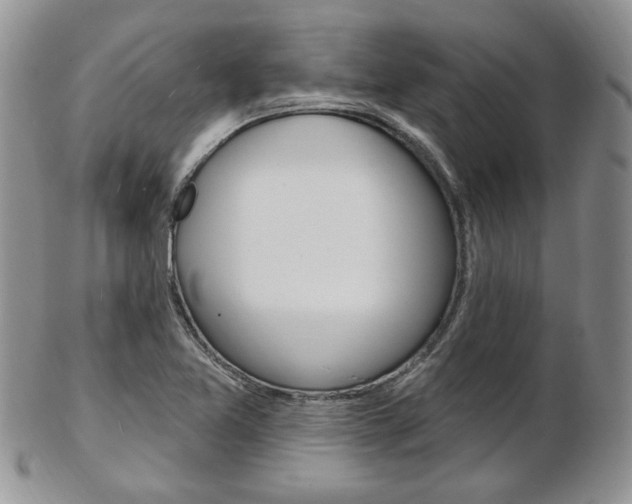 X0000103171365200808221119