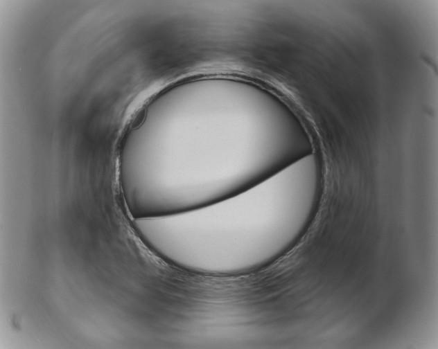 X0000103171366200808221119