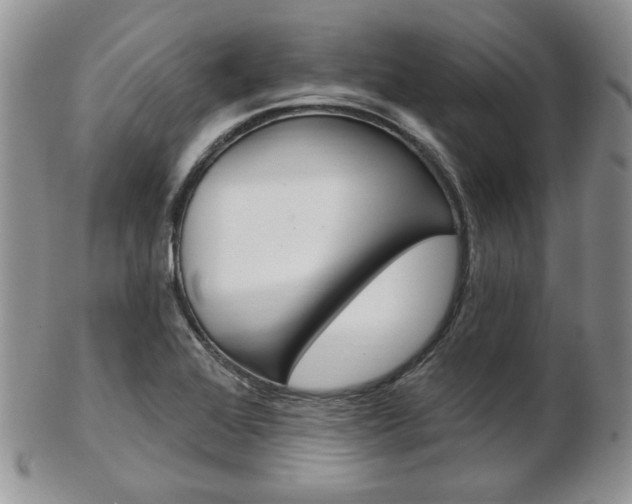 X0000103171368200808221119