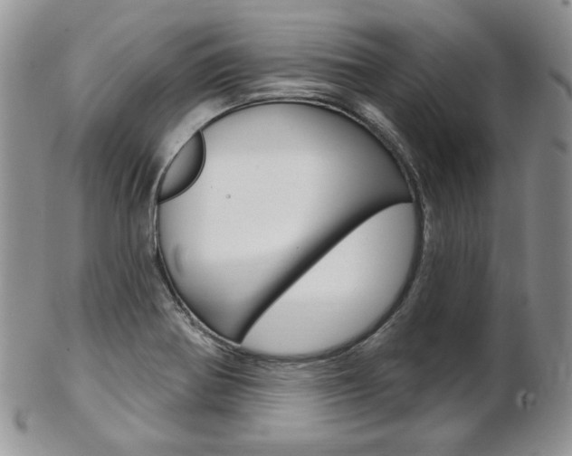 X0000103171370200808221119