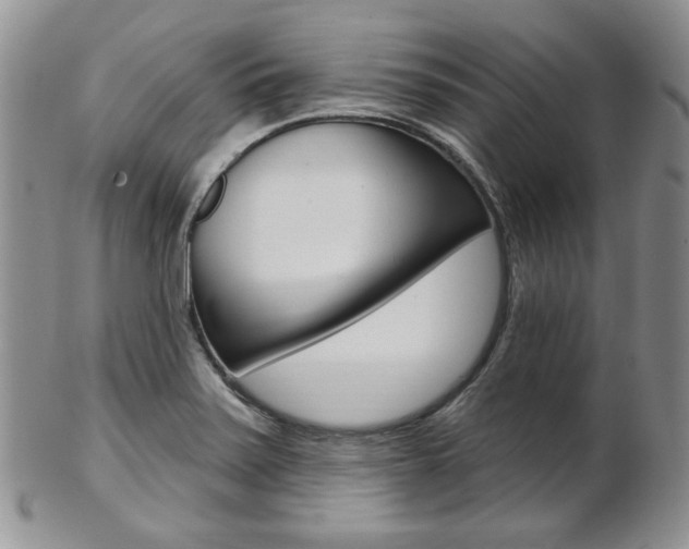 X0000103171371200808221119