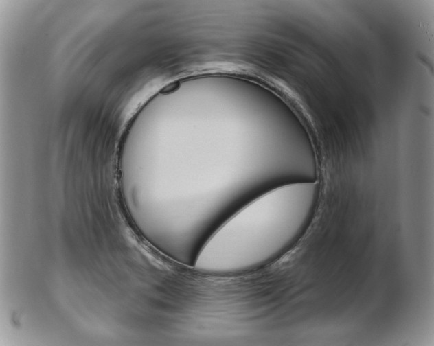 X0000103171373200808221119