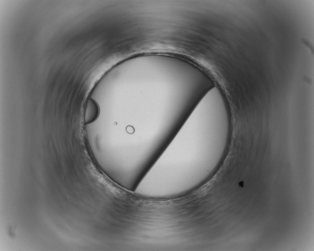 X0000103171374200808221119