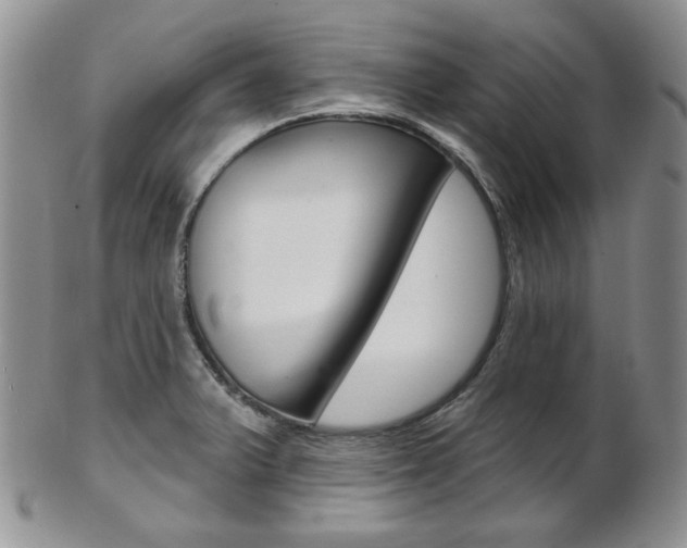 X0000103171375200808221119