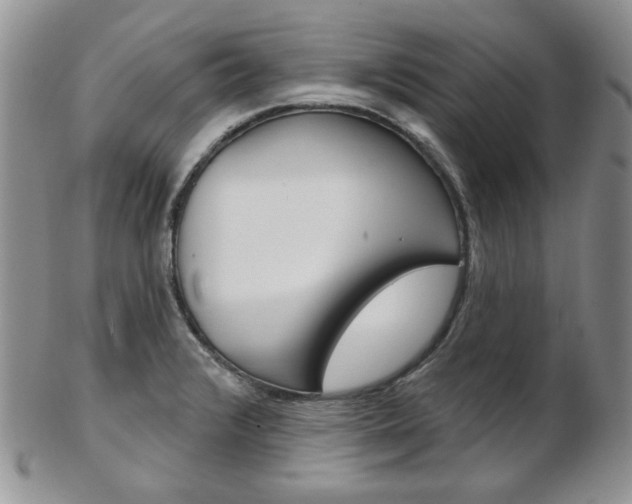 X0000103171376200808221119