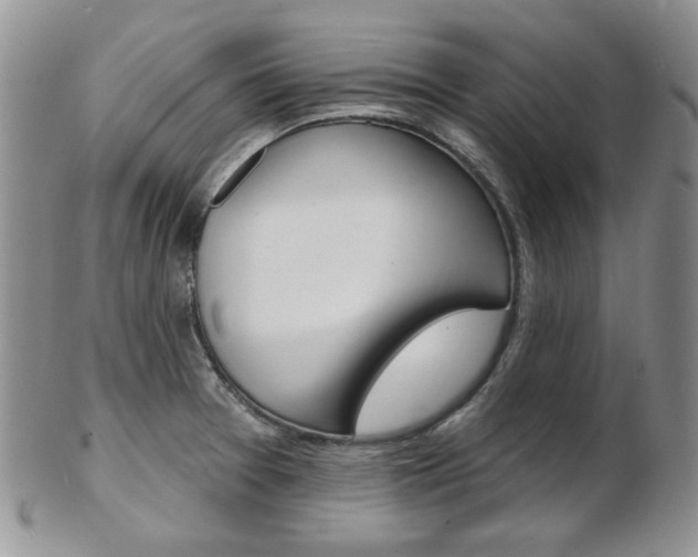 X0000103171377200808221119