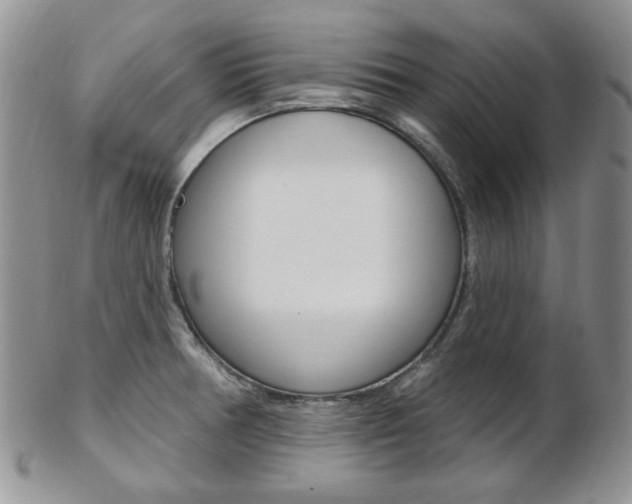 X0000103171378200808221119