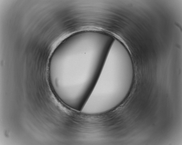 X0000103171379200808221119
