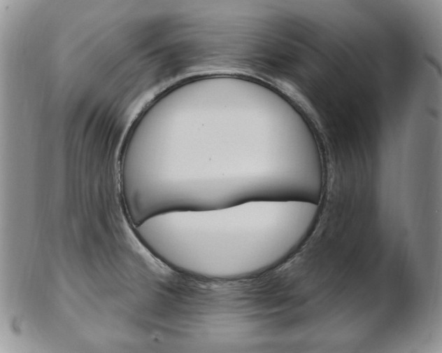 X0000103171380200808221119
