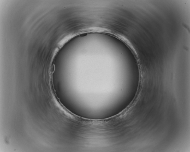 X0000103171381200808221119