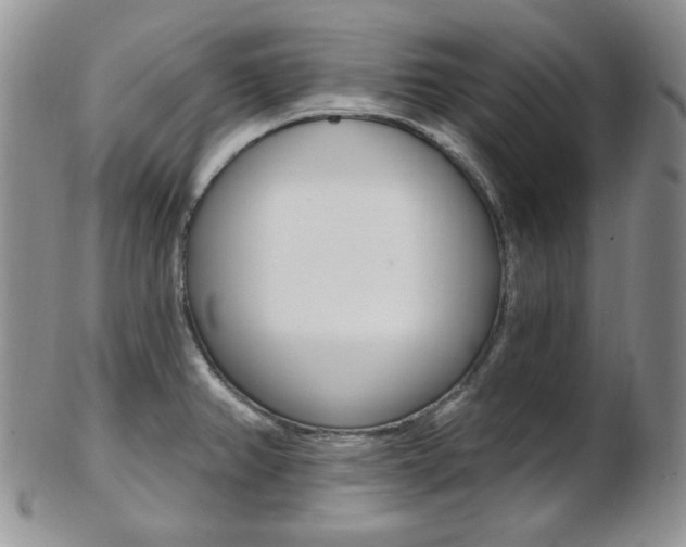 X0000103171382200808221119