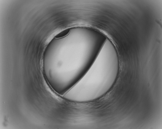 X0000103171383200808221119