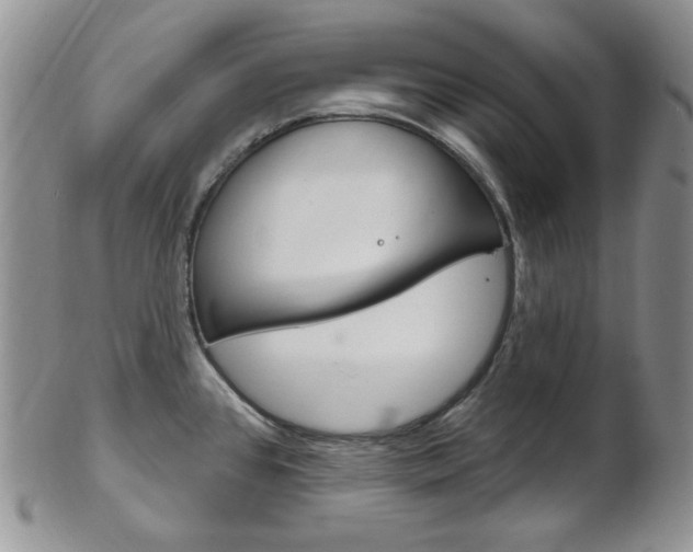 X0000103171384200808221118