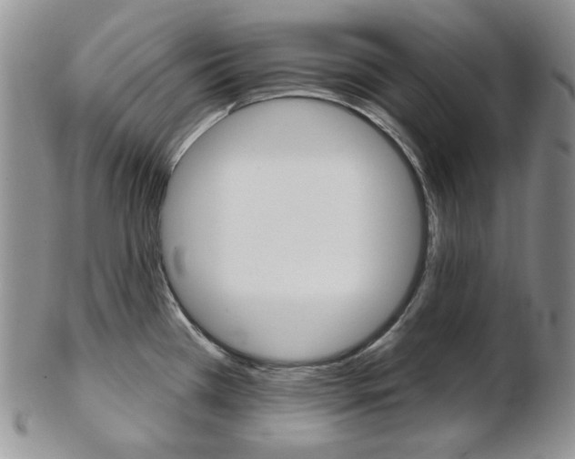X0000103171385200808221118