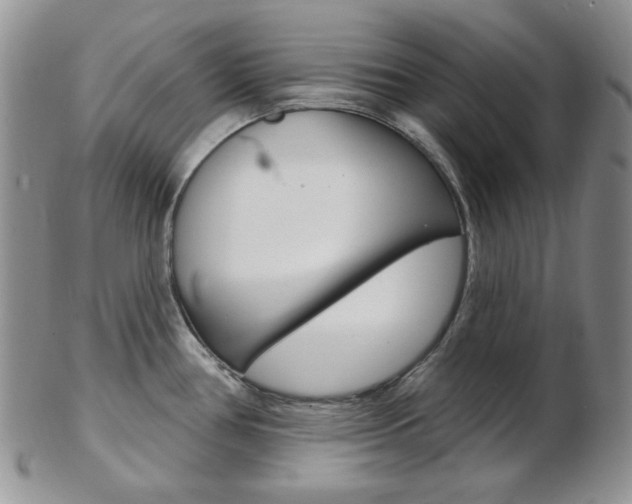 X0000103171386200808221118