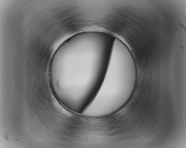 X0000103171387200808221118
