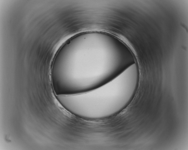 X0000103171388200808221118