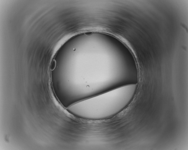 X0000103171389200808221118