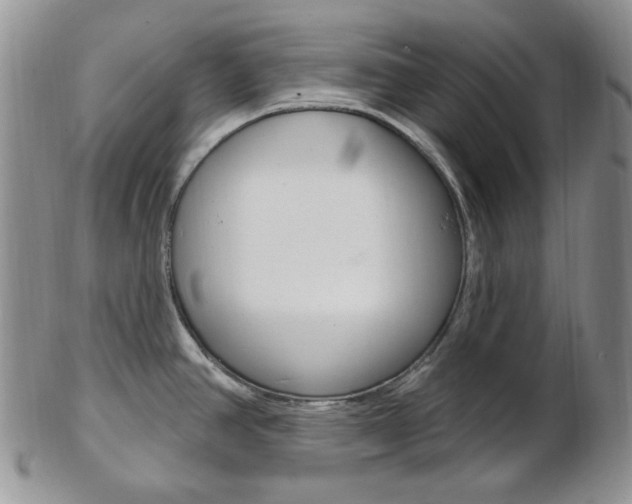 X0000103171390200808221118