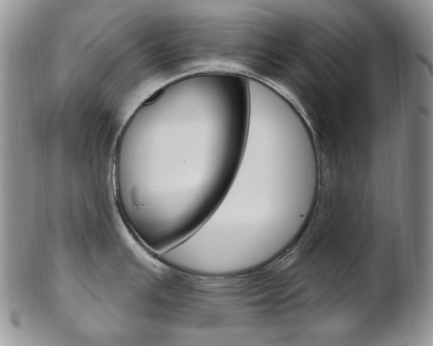 X0000103171391200808221118
