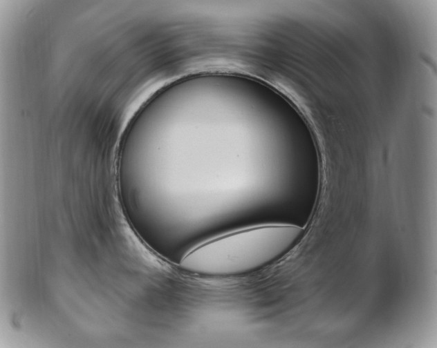 X0000103171392200808221118