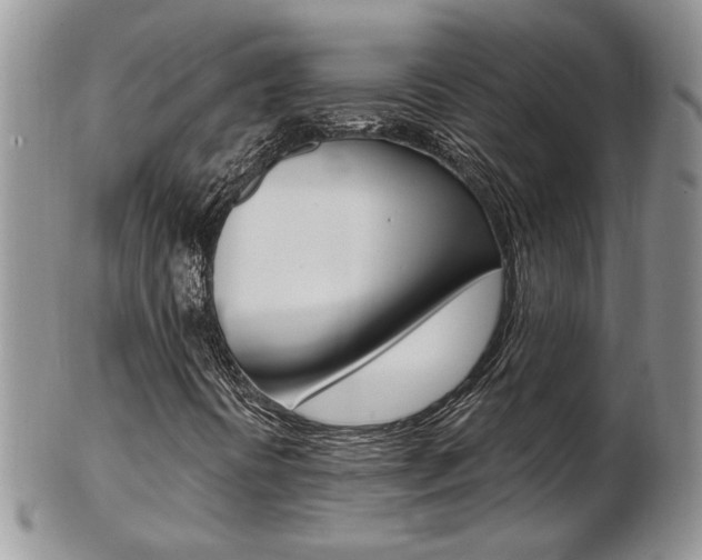 X0000103171394200808221118