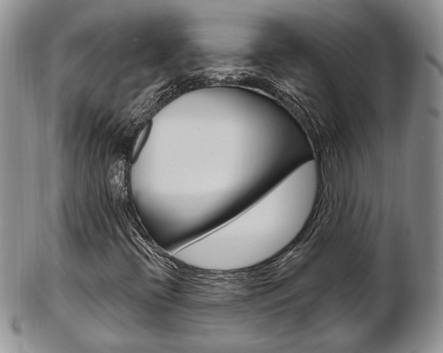 X0000103171396200808221118