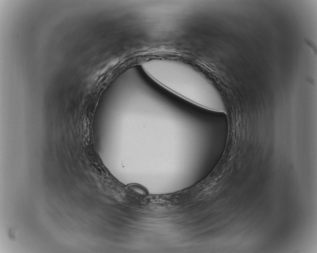X0000103171398200808221118