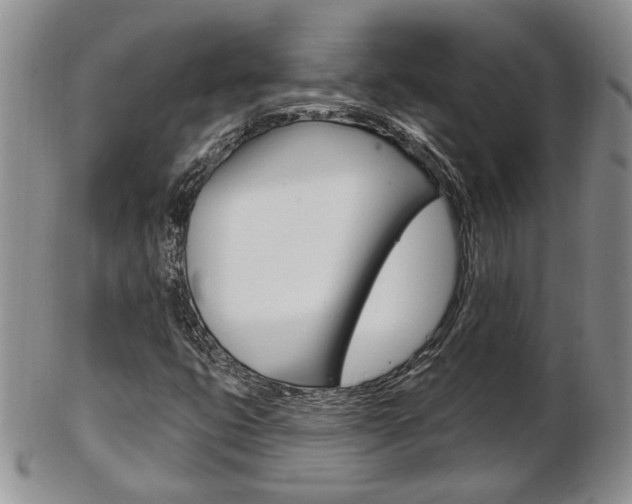 X0000103171399200808221118