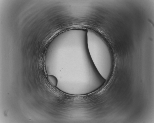 X0000103171401200808221118