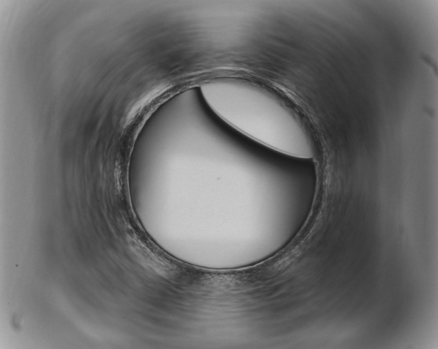 X0000103171402200808221118