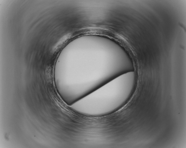 X0000103171403200808221118