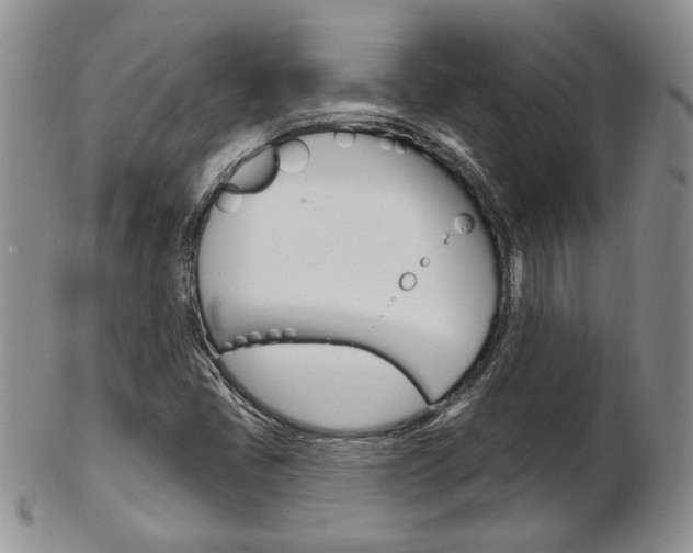 X0000103171405200808221118
